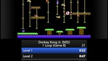 Donkey Kong Jr. Game B Speedrun 1:51