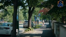 Ana, mi-ai fost scrisa in ADN Sezonul 2 Episodul 4 din 18 Septembrie 2025 Online Gratis pe Internet, Antena Play Gratis