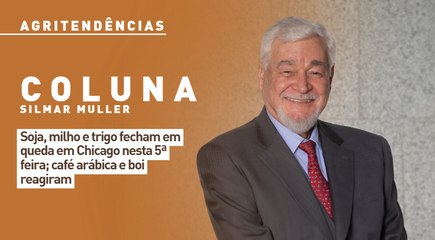 Soja, milho e trigo fecham em queda em Chicago nesta 5ª feira; café arábica e boi reagiram