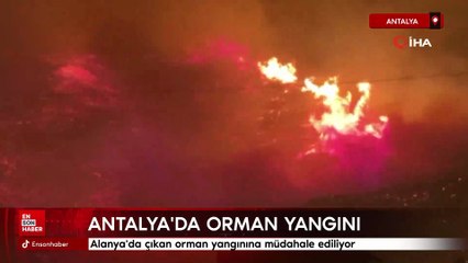 Antalya'da orman yangını: Rüzgar etkisini artırdı