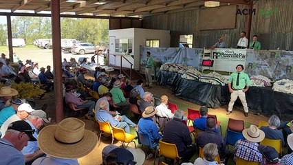 Commercial buyer outbids studs to claim sought after star lot at Roseville Park