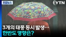 [날씨] 3개의 태풍 동시 발생...한반도 영향은? / YTN