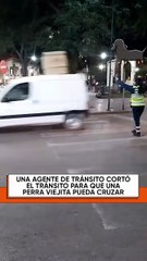 Tierno video de perrita