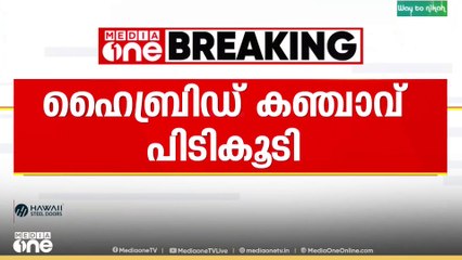 കൊച്ചിയിൽ രണ്ട് കോടി രൂപയുടെ ഹൈബ്രിഡ് കഞ്ചാവുമായി ഒരാൾ പിടിയിൽ