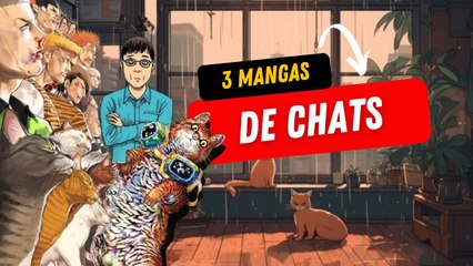 3 Mangas avec des chats ! 🐈