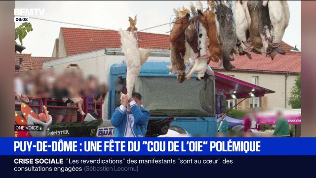 Dans le Puy-de-Dôme, une fête du cou de l'oie fait polémique