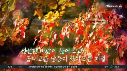 ‘낭만 가득’ 가을 드라이브…인천 강화도·경기 김포시
