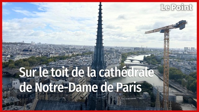 Dans les secrets des tours de Notre-Dame de Paris