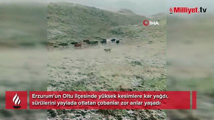Erzurum’da yüksek kesimlere kar yağdı