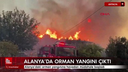 Alanya'daki orman yangınına havadan müdahale başladı