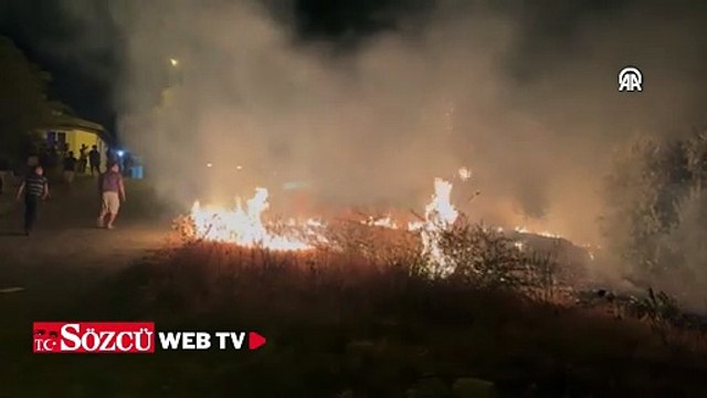 Muğla'da zeytinlik ve makilik alanda yangın