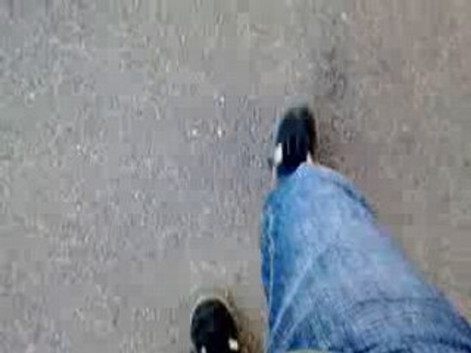 Feet