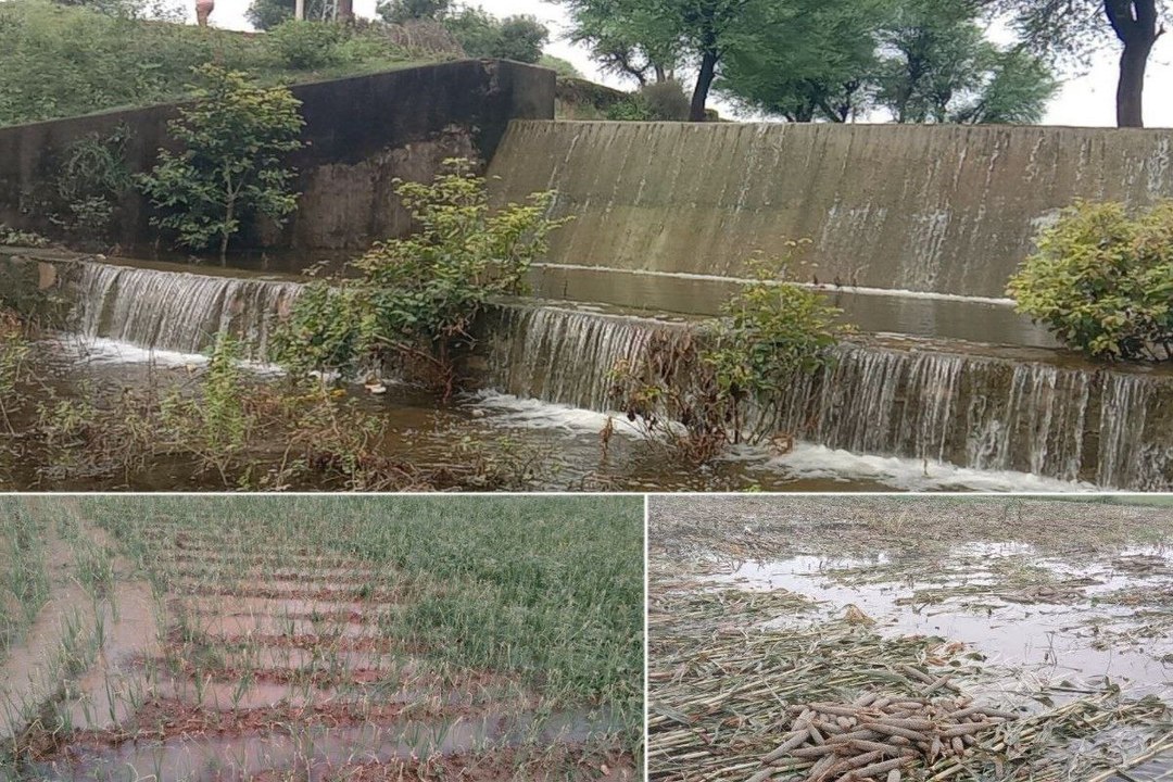सकट क्षेत्र में बारिश के बाद खेतों में भरा पानी...