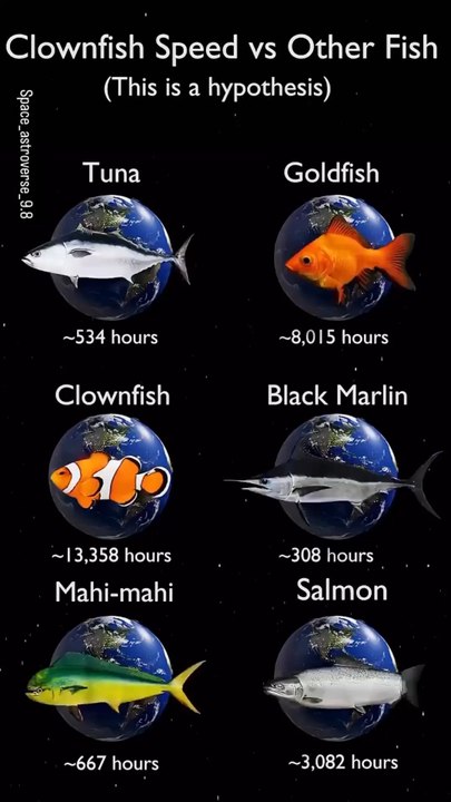 Secret About Fish.
