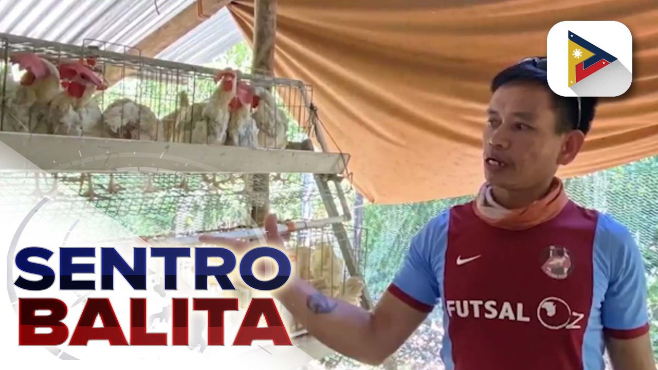 4Ps beneficiaries sa isang barangay sa Siquijor, matagumpay na napaunlad ang kanilang poultry livelihood project sa tulong ng DSWD | ulat ni Rizalie Anding-Calibo ng PIA-Negros Island