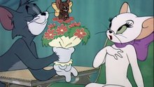 Tom And Jerry - 055 - Casanova Cat [1951]