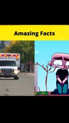 Top 3 regrets 🤣🤣😮 MRINDIANHACKER  CrazyXYZ   #shorts  #FactBeast01 - Fact Beast901