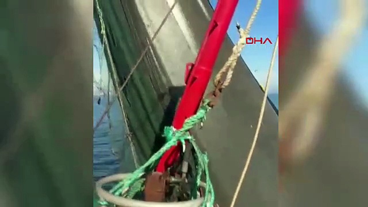 Masmavi cennetlerimizi cehenneme çeviren mide bulandıran kabus geri döndü!