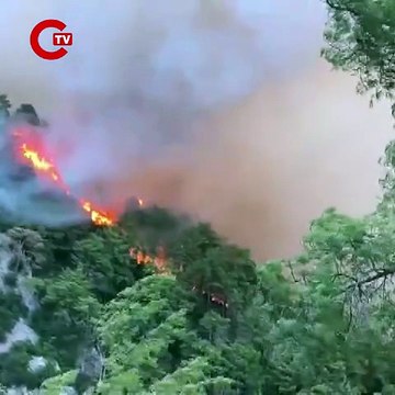 Muğla Köyceğiz'deki orman yangınında 58 ev boşaltıldı, 173 kişi tahliye edildi