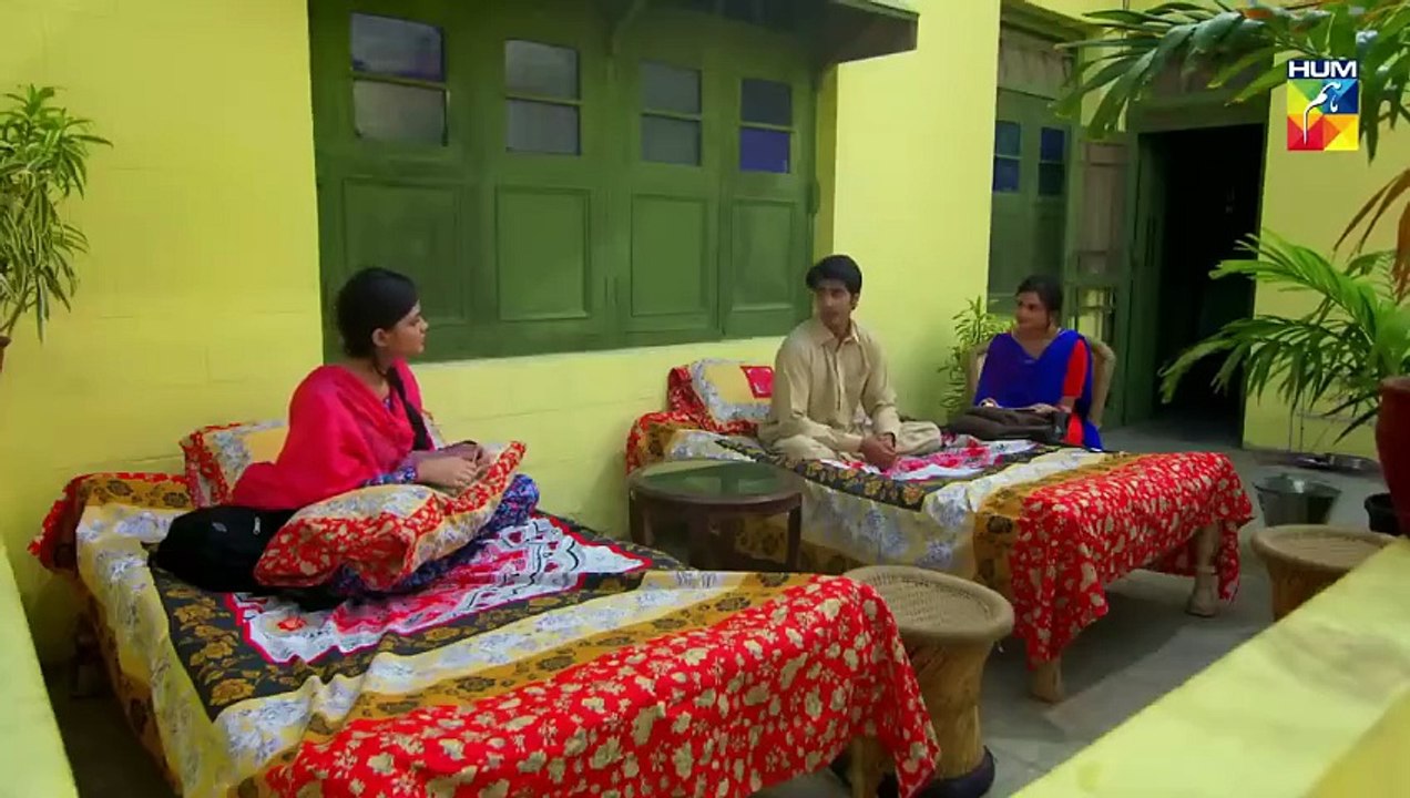 Choti Si Zindagi Episode _10 HUM TV Drama(720P_HD)