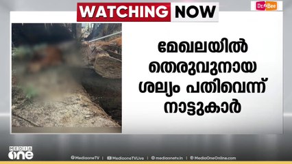 പൊന്നാനി ഈശ്വരമംഗലത്ത് തെരുവുനായയുടെ കടിയേറ്റ പശു പേവിഷബാധയേറ്റ് ചത്തു