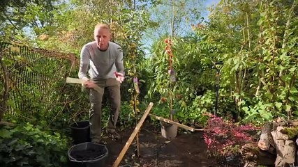 The Beechgrove Garden Episodes S47E25