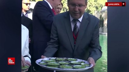 Japonya Altes Prensesi Akiko Mikasa, Balıklıgöl Yerleşkesi'ni ziyaret etti