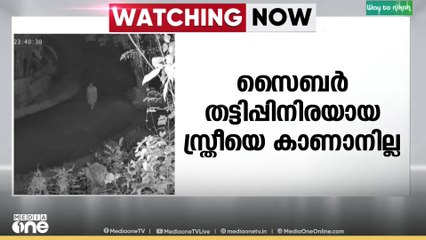 പാലക്കാട്ട് സൈബർ തട്ടിപ്പിനിരയായ സ്ത്രീയെ കാണാനില്ലെന്ന് പരാതി; നഷ്ടമായത് 11 ലക്ഷം രൂപ