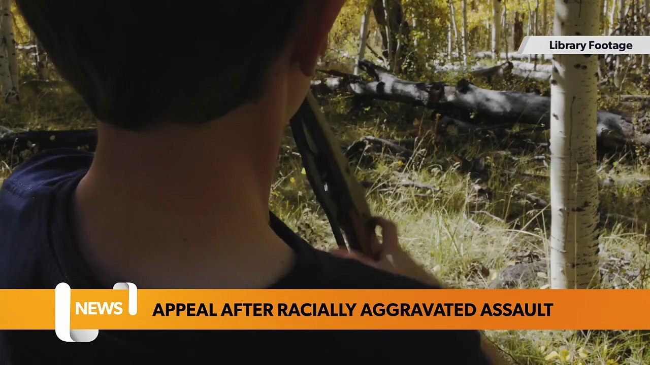 Appeal after child injured in racially aggravated assault