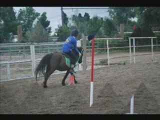 Cour pony-games 17/05 SALON