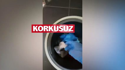 Skandal görüntülerin ardından yurt müdürleri görevden alındı, gözaltı talimatı verildi