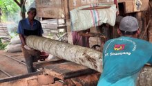 From Coconut Tree to 5x10 Wood Professional Sawmill Process