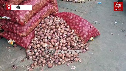 મહેસાણા: ડુંગળીના ભાવમાં મોટો ઘટાડો; ગ્રાહકોને રાહત, ખેડૂતો માટે ચિંતા