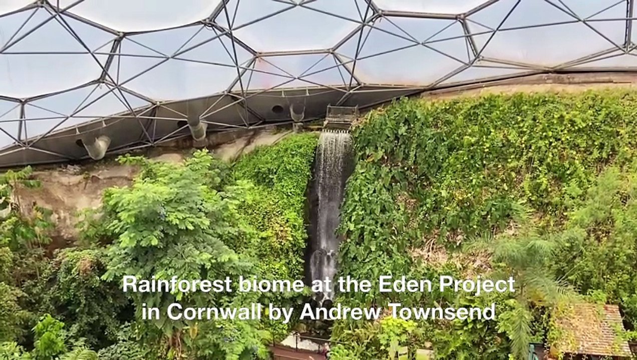 Rainforest biome at the Eden Project in Cornwall by Andrew Townsend