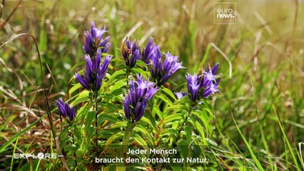 Das Karpatenvorland: epische Wanderungen, deftiges Essen und eine Nacht in einem Märchenschloss