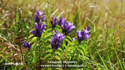 Откройте для себя Подкарпатье: Походы в Бещады, традиционная кухня и ренессансный замок в Польше