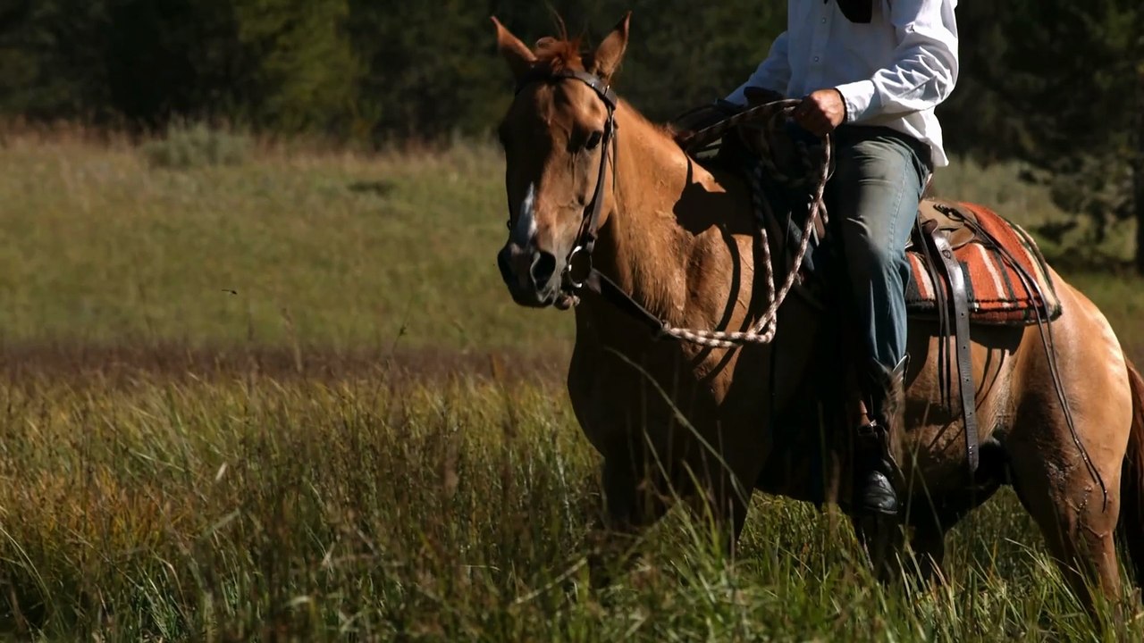 Ghost Riders in the Sky (Stan Jones / Johnny Cash) | Fresh Music Arrangement (Cover Song)