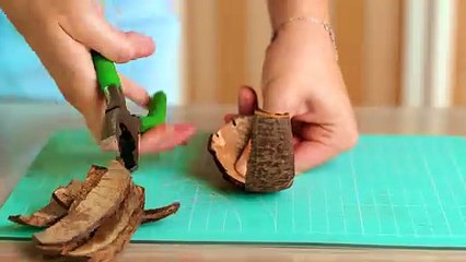 How to make good use of coconut shells😍 What a great result 🌸🧡