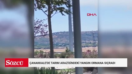 Çanakkale'de tarım arazisindeki yangın ormana sıçradı