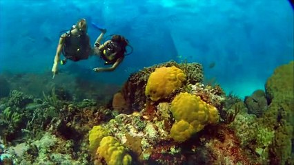 evidence of a life - SD 480 p