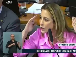 “Foram limpar as fraldas de um  moleque”, diz senadora sobre parlamentares que foram aos Estados Unidos negociar tarifaço