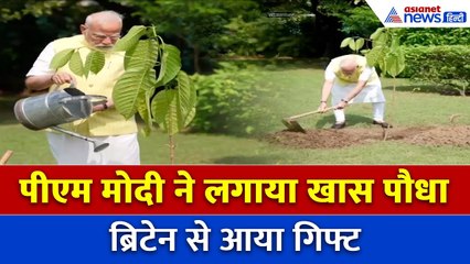 PM मोदी ने घर पर लगाया कदम्ब का पौधा, ब्रिटेन के राजा का खास तोहफ़ा...