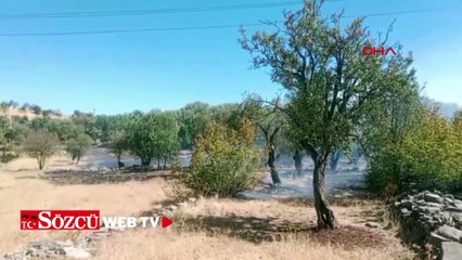 Diyarbakır'da 3 farklı noktada yangın; 2'si kontrol altında, biri sürüyor