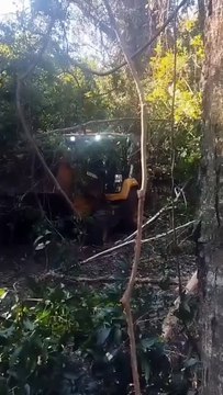 Corpos dos quatro homens desaparecidos em Icaraíma tinham marcas de tiro no rosto e no abdômen