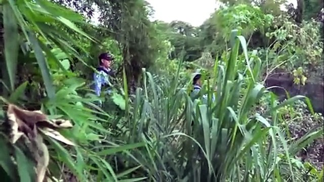 Anuncian proyecto de energía eléctrica para tres colonias de Los Cármenes | Móvil Emergencia SPS