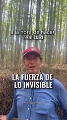 Confía en tu proceso más que en los resultados inmediatos.