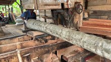 Tips for Determining the Size of 5x5 Coconut Wood Blocks with a Sawmill Machine