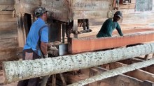 The Process of Cutting Coconut Wood 5x7 for Building Construction