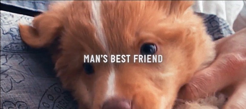 Good Boy Bande-annonce (2) VO STFR