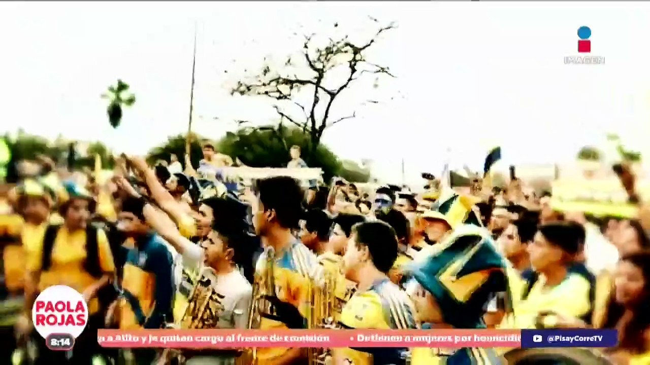 Nuevo León, tierra de rayados, tigres... y osos | DPC con Paola Rojas